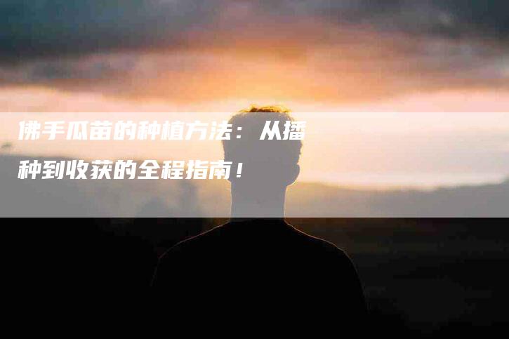 佛手瓜苗的种植方法：从播种到收获的全程指南！-速上门月嫂网