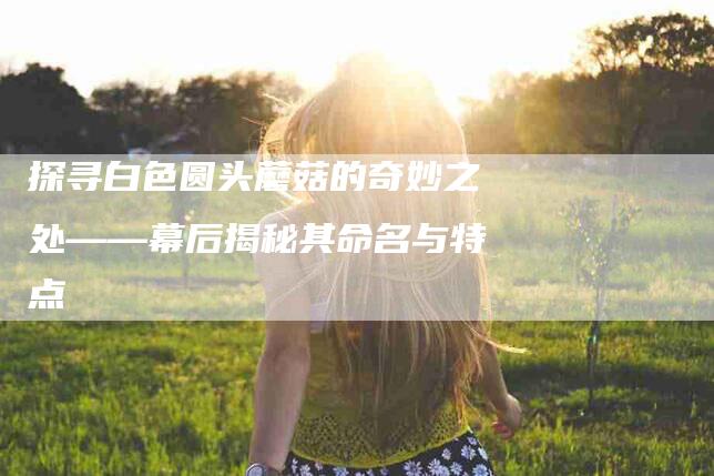 探寻白色圆头蘑菇的奇妙之处——幕后揭秘其命名与特点-速上门月嫂网