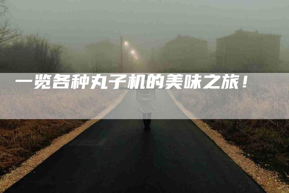 一览各种丸子机的美味之旅！-速上门月嫂网