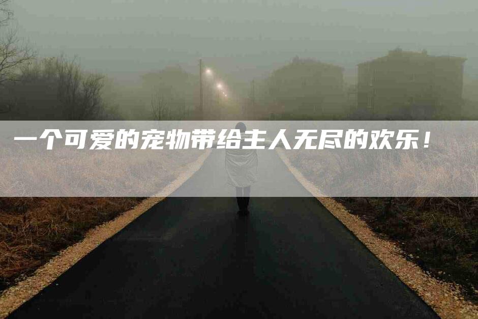 一个可爱的宠物带给主人无尽的欢乐！-速上门月嫂网